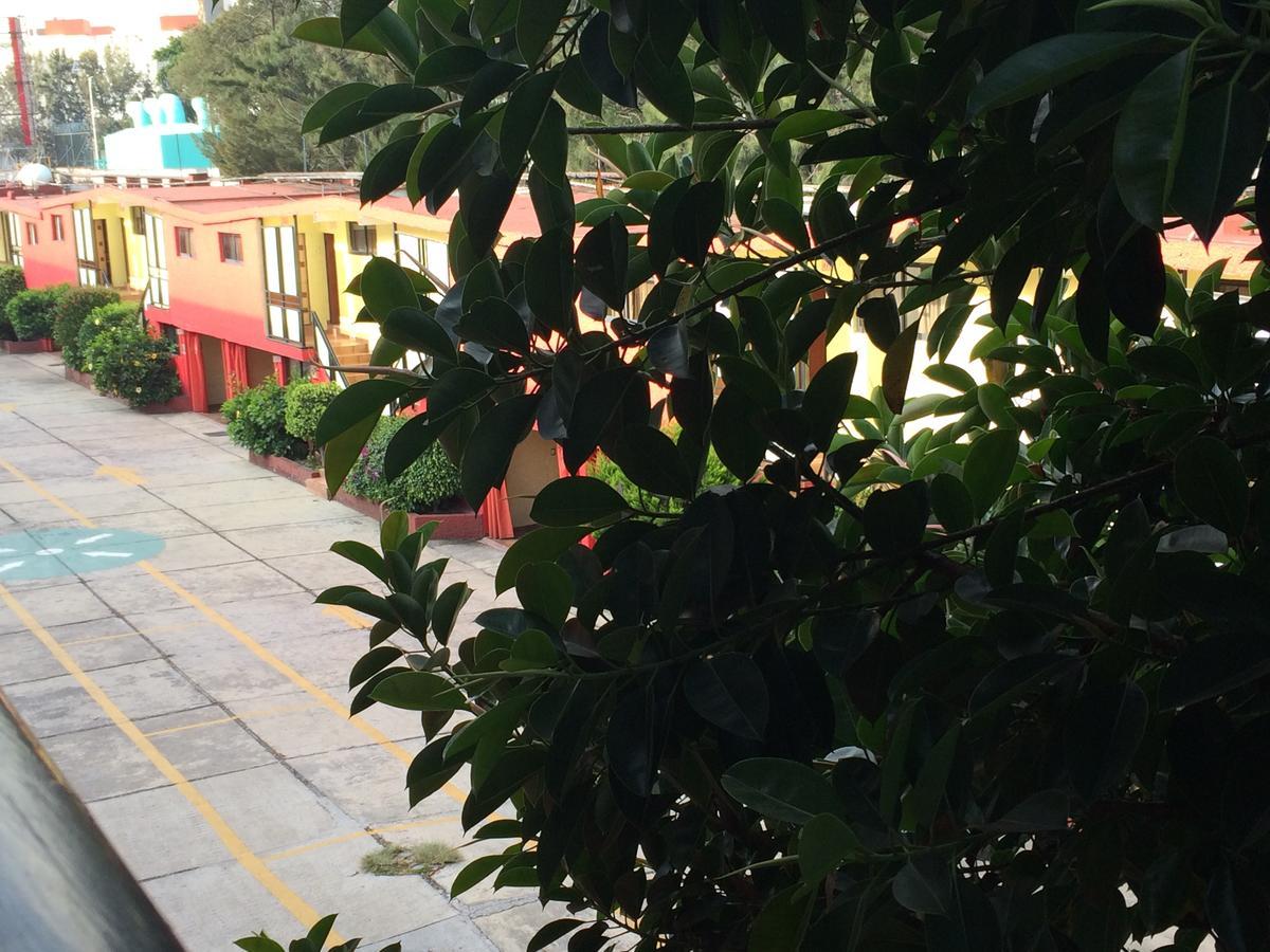 Hotel Agua Caliente Adults Only - Mexico City — Photos 3